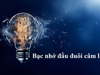 Bạc nhớ đầu đuôi câm là gì?