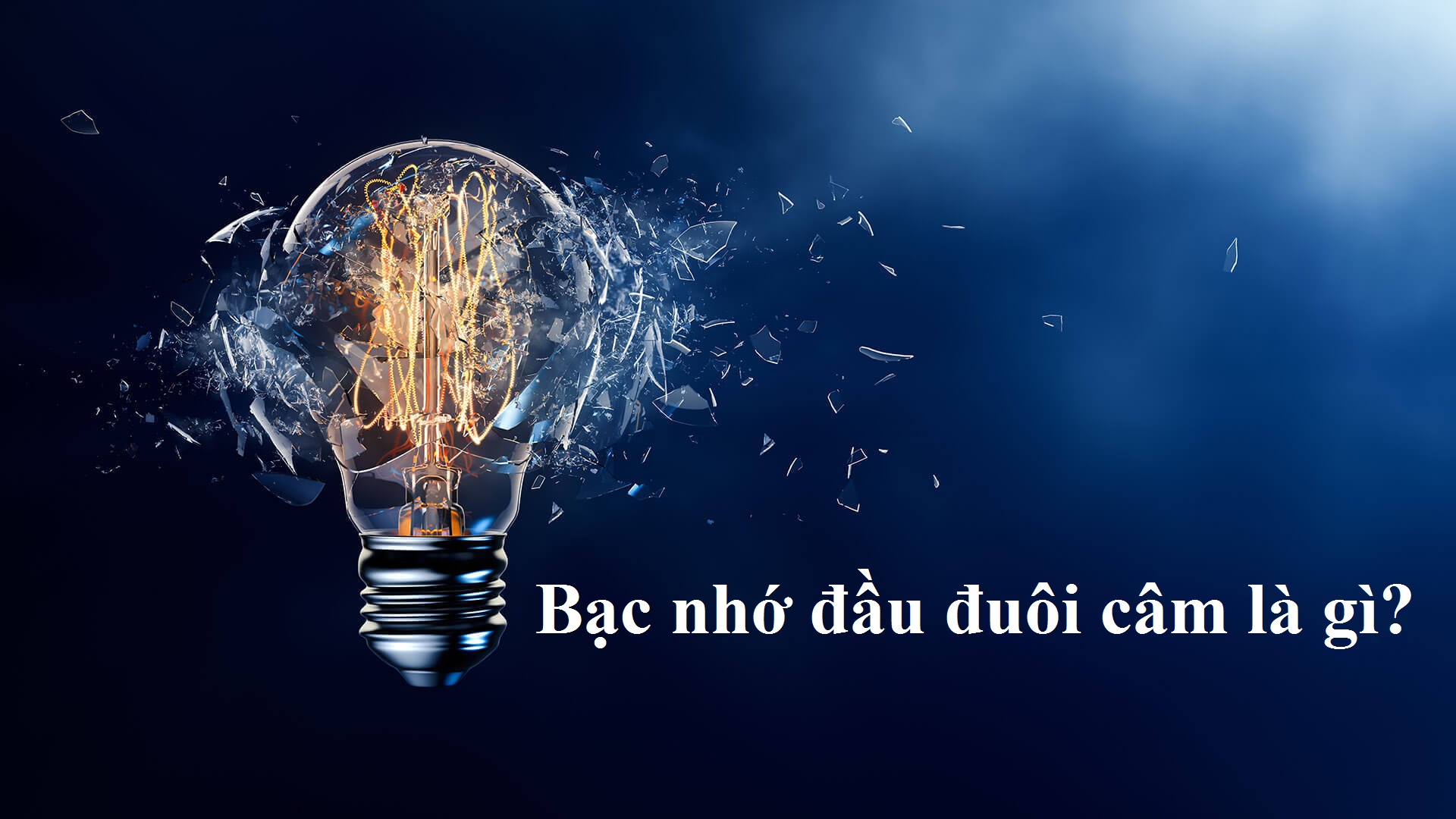 Bạc nhớ đầu đuôi câm là gì?